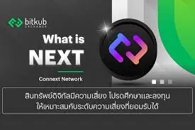 Connext Network